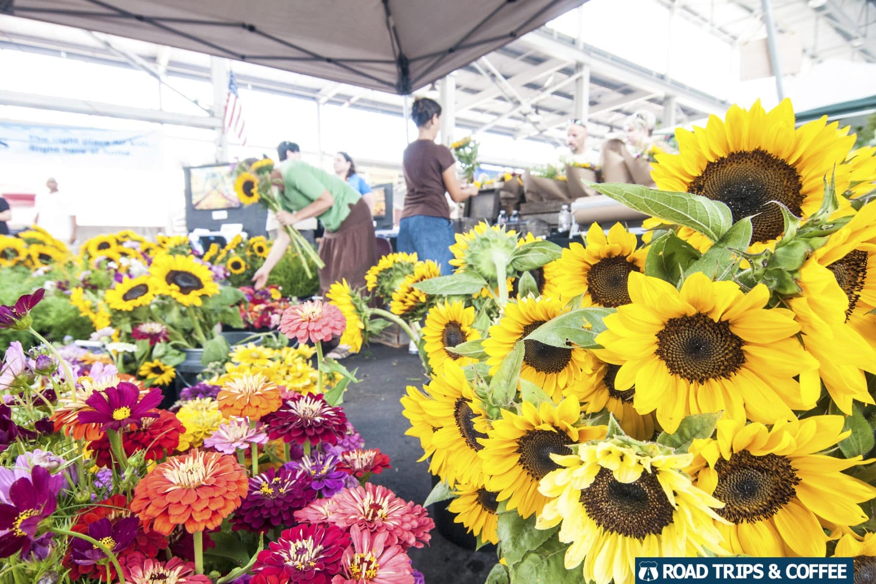 Colorful flowers for sale at the Chattanooga Market in Chattanooga, Tennessee