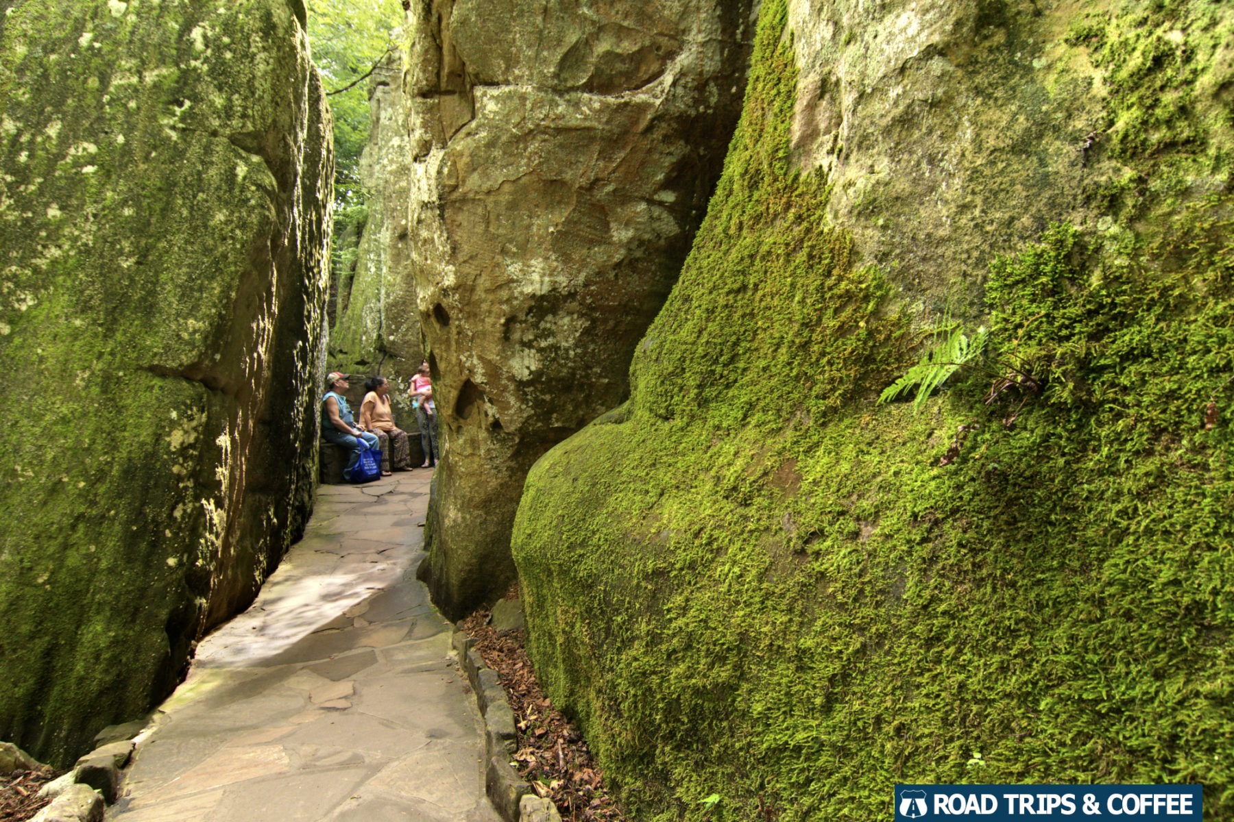 Moss covered rocky walls with a narrow path through the middle at Rock City in Lookout Mountain, Tennessee