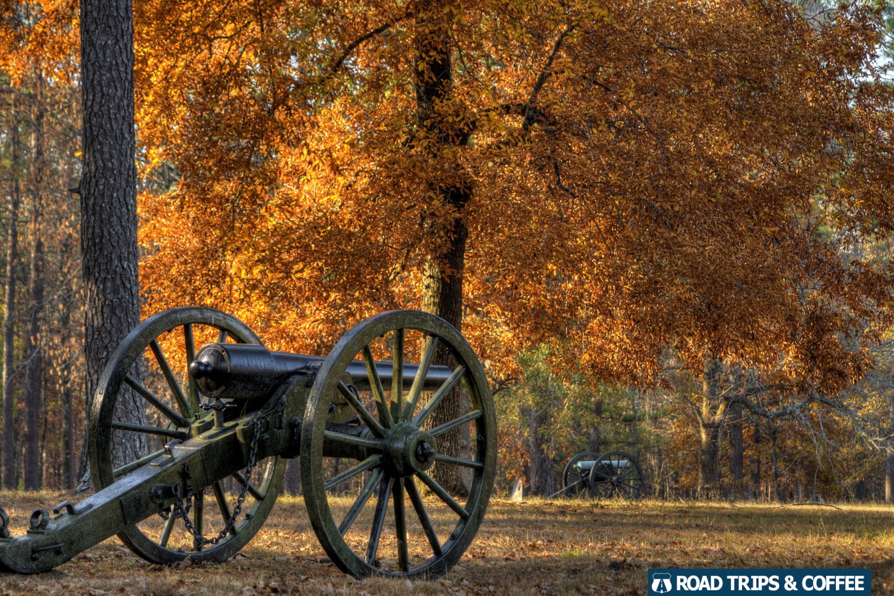 Bright orange fall colors in a tree behind a canon on display at Chickamauga & Chattanooga National Military Park in Fort Oglethorpe, Georgia