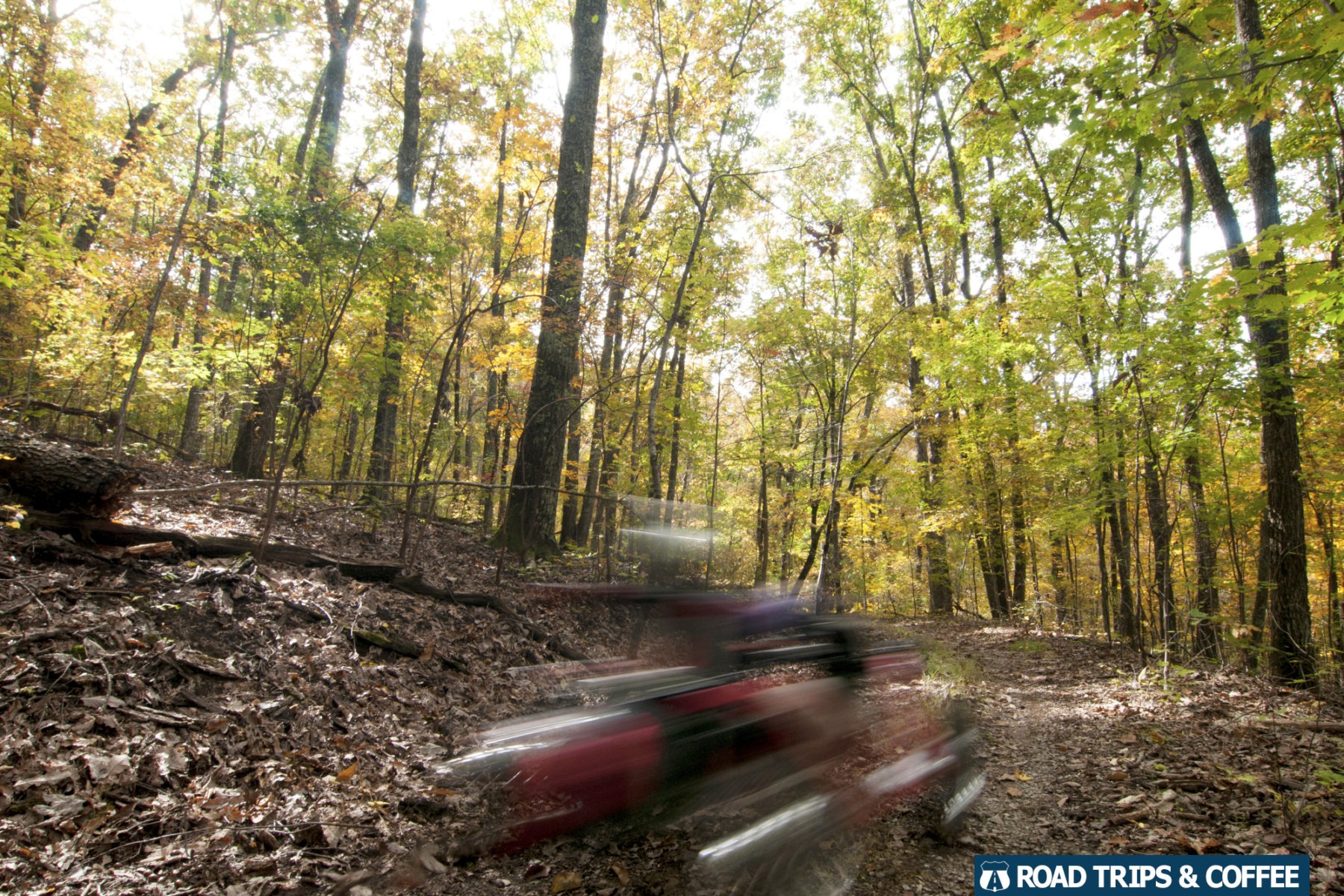 Guided tours with Advanced Sports Innovation in Chattanooga, Tennessee